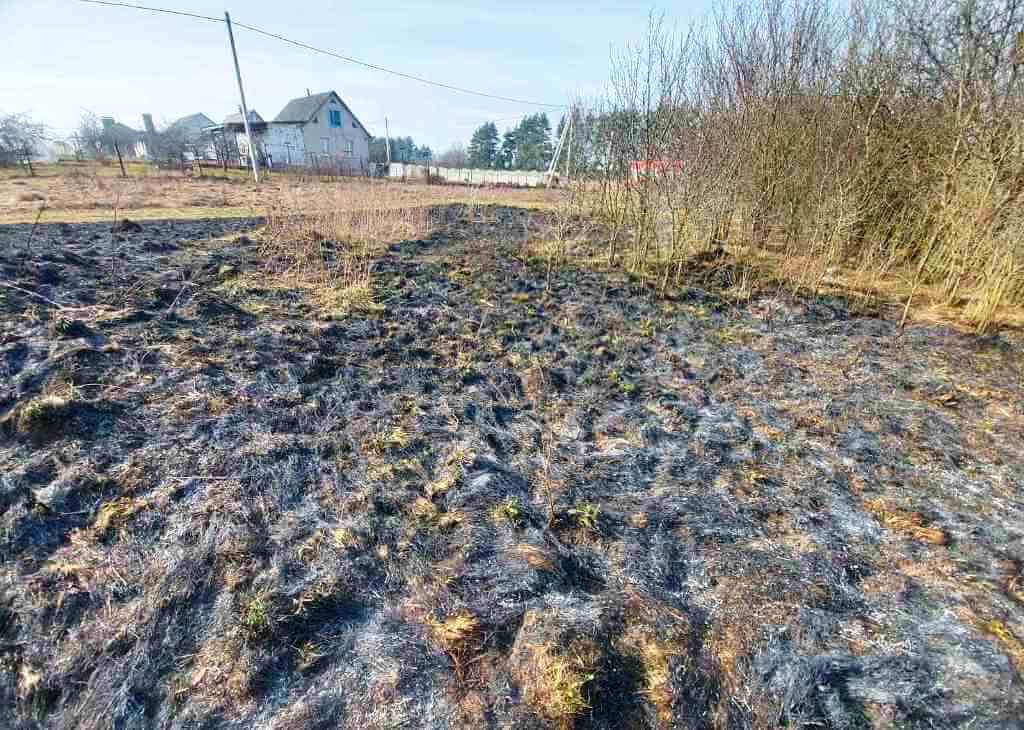 Штрафы за выжигание сухой растительности в Барановичах МЧС